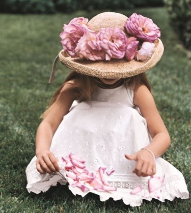 ralph-lauren-signature-florals-tapeta-kollekcio