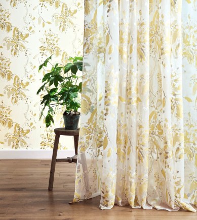 Nincs kép beállítva 