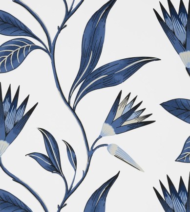 Anna French Cleo Vine Blue and White tapéta