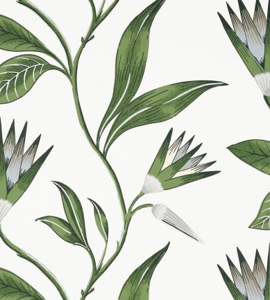 Anna French Cleo Vine Green and White tapéta