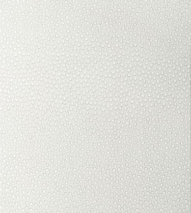 Anna French Davis Dot Grey tapéta - Paisley Home