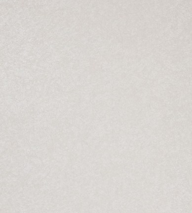 Anthology Shellac Oyster tapéta - Paisley Home