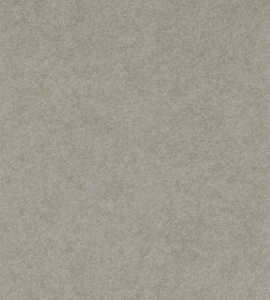 Anthology Shellac Raffia tapéta - Paisley Home