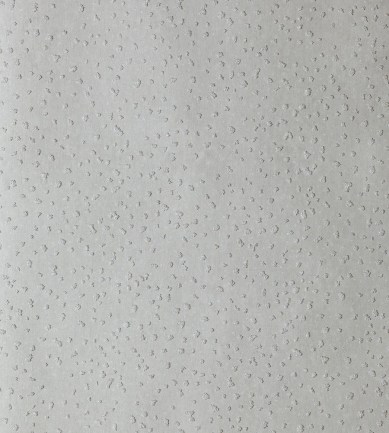 Anthology Foxy Pumice tapéta - Paisley Home