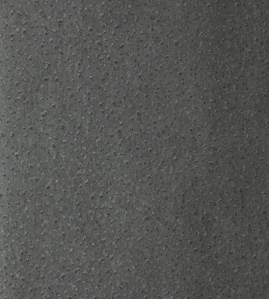 Anthology Foxy Pewter tapéta - Paisley Home