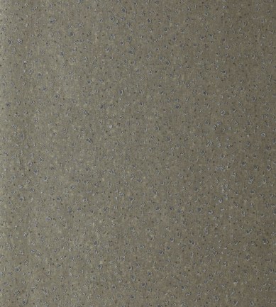 Anthology Foxy Graphite tapéta - Paisley Home