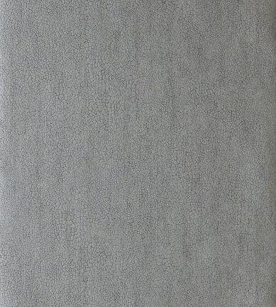Anthology Igneous Titanium tapéta - Paisley Home