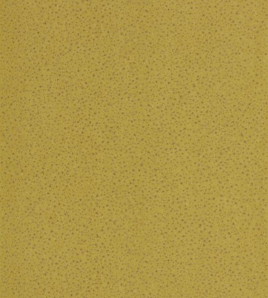 Anthology Foxy Citrus tapéta