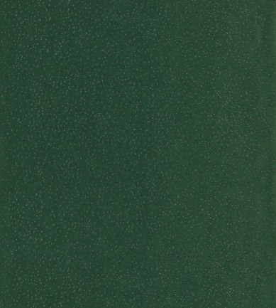 Anthology Foxy Emerald tapéta