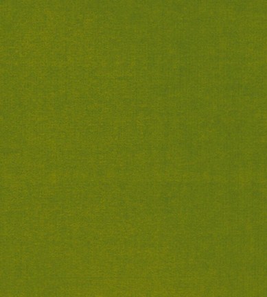 Armani/Casa Maranello Verde Lime textil