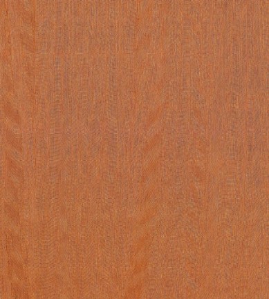 Arte Fierce 23507 tapéta - Paisley Home