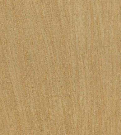 Arte Pristine 23525 tapéta - Paisley Home