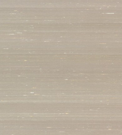 Arte Dupion 87212 tapéta