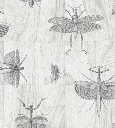 Arte Wings 42001 tapéta - Paisley Home