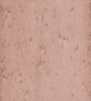 Arte Stellar 37503 tapéta - Paisley Home