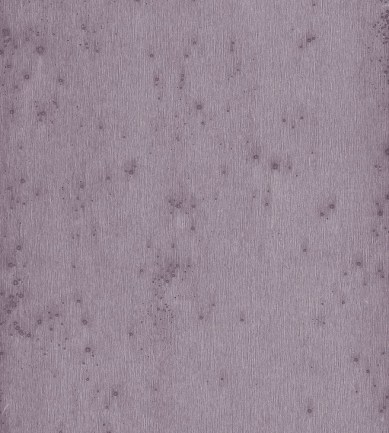 Arte Stellar 37504 tapéta - Paisley Home