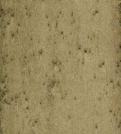 Arte Stellar 37510 tapéta - Paisley Home