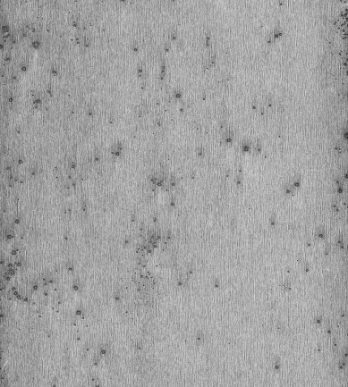 Arte Stellar 37511 tapéta - Paisley Home