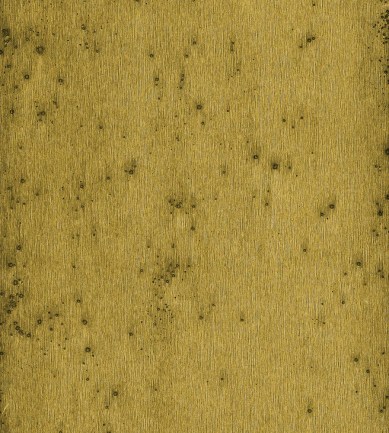 Arte Stellar 37517 tapéta - Paisley Home