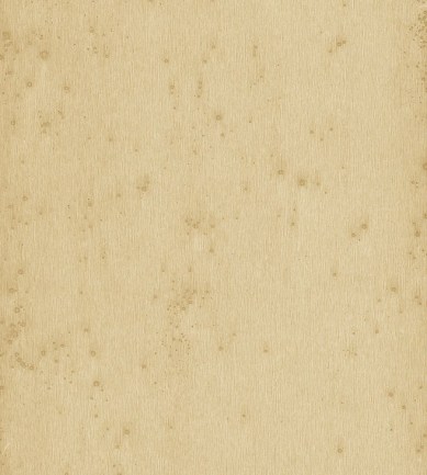 Arte Stellar 37518 tapéta - Paisley Home