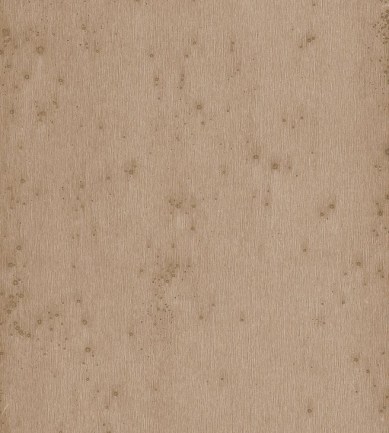 Arte Stellar 37522 tapéta - Paisley Home