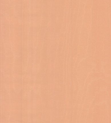 Arte Illusion 99008 tapéta - Paisley Home