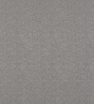 Black Edition Veii Feather Grey textil - Paisley Home