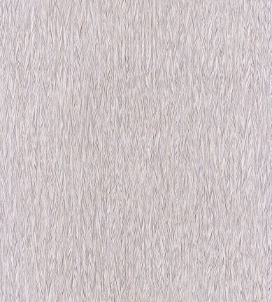 Casamance Poyo Tourterelle tapéta