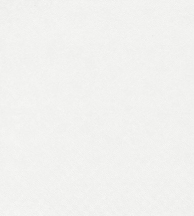 Casamance Hawkes Blanc Petale tapéta - Paisley Home