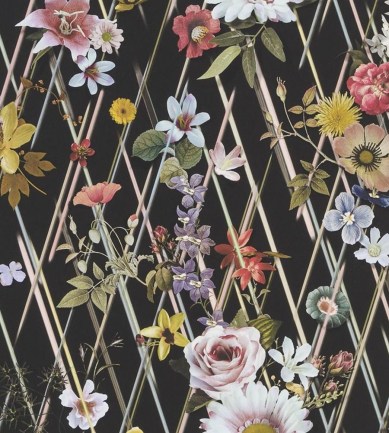 Christian Lacroix Rocaille Nuit tapéta - Paisley Home