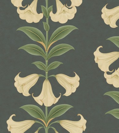 Cole and Son Angels Trumpet 117/3006 tapéta