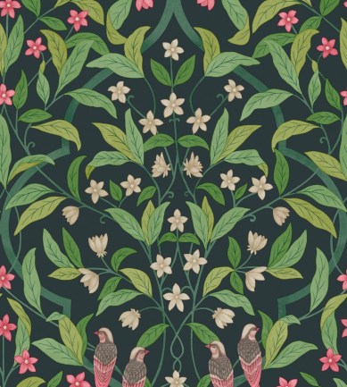 Cole and Son Jasmine And Serin Symphony 117/10028 tapéta