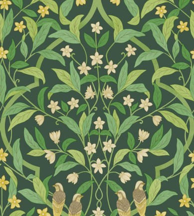 Cole and Son Jasmine And Serin Symphony 117/10029 tapéta