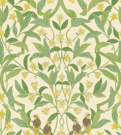 Cole and Son Jasmine And Serin Symphony 117/10031 tapéta