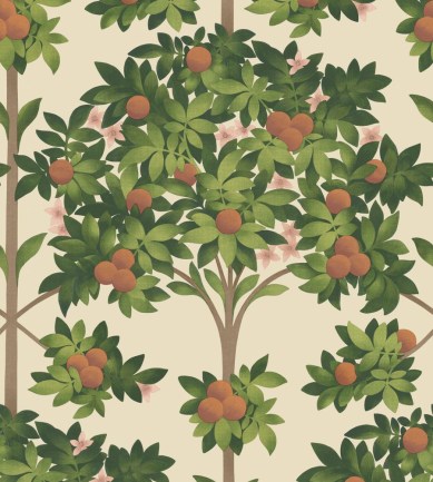 Cole and Son Orange Blossom 117/1001 tapéta