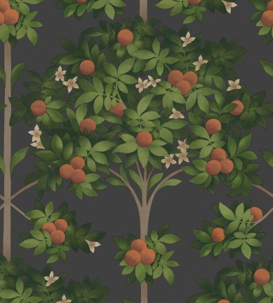Cole and Son Orange Blossom 117/1003 tapéta