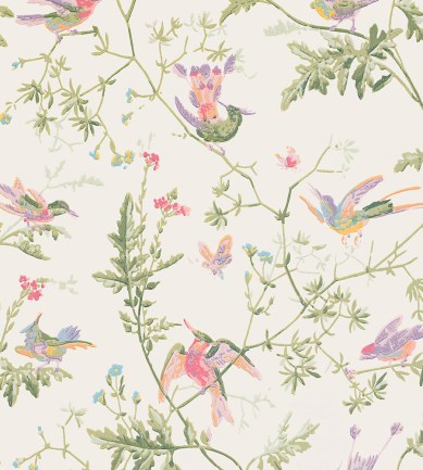 Cole and Son Hummingbirds 100-14067 tapéta - Paisley Home