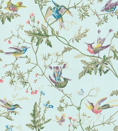 Cole and Son Hummingbirds 100-14069 tapéta - Paisley Home