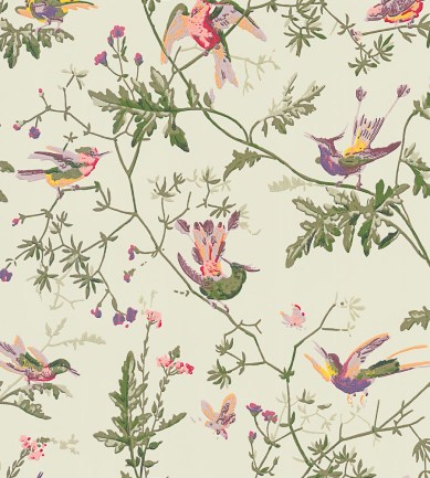 Cole and Son Hummingbirds 100-14070 tapéta - Paisley Home