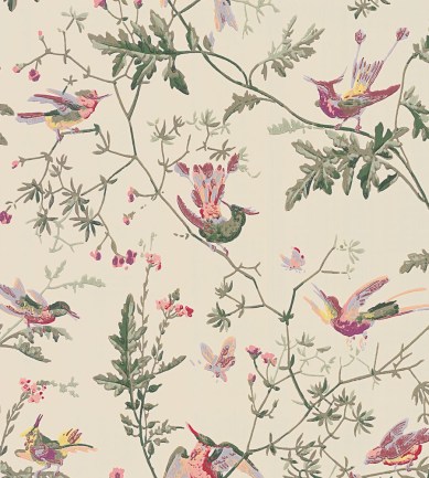 Cole and Son Hummingbirds 100-14071 tapéta - Paisley Home