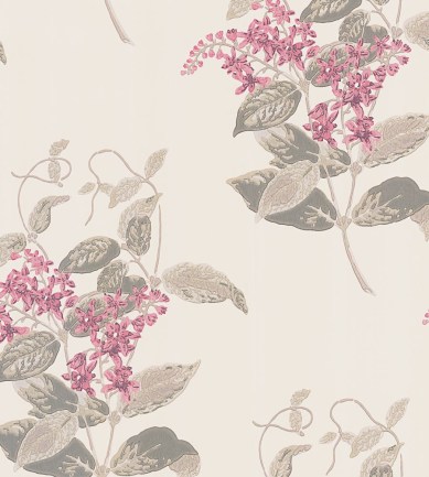 Cole and Son Madras Violet 100-12058 tapéta - Paisley Home