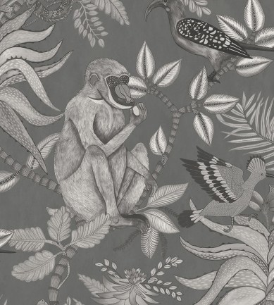 Cole and Son Savuti 109-1002 tapéta - Paisley Home