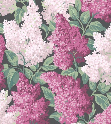Cole and Son Lilac 115/1001 tapéta