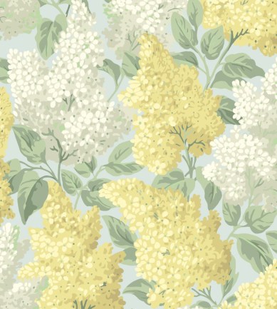Cole and Son Lilac 115/1003 tapéta