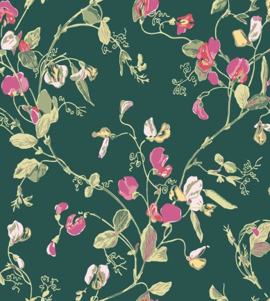 Cole and Son Sweet Pea 115/11033 tapéta