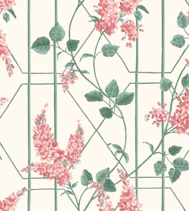Cole and Son Wisteria 115/5012 tapéta