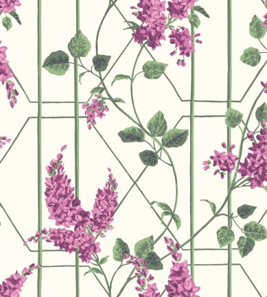 Cole and Son Wisteria 115/5013 tapéta