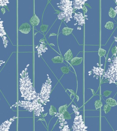 Cole and Son Wisteria 115/5015 tapéta
