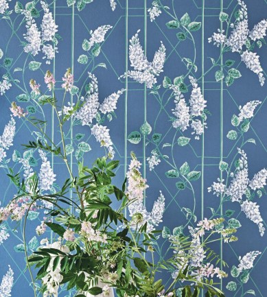 Paisley Home - Cole & Son tapéták teljes választéka