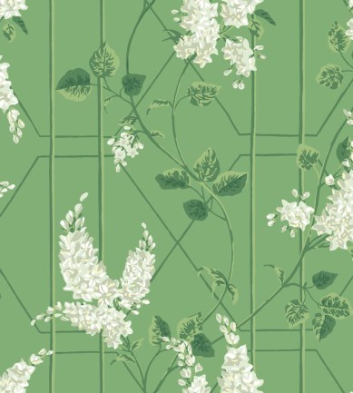 Cole and Son Wisteria 115/5016 tapéta